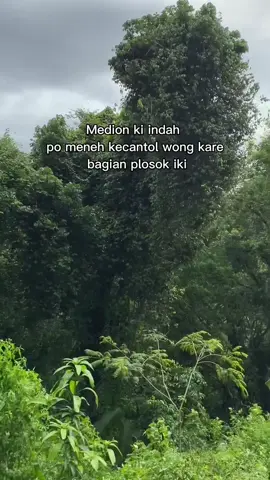 YTTA #fyppppppppppppppppppppppp #fypシ゚ #madiun24jam #masukberanda #xybca 