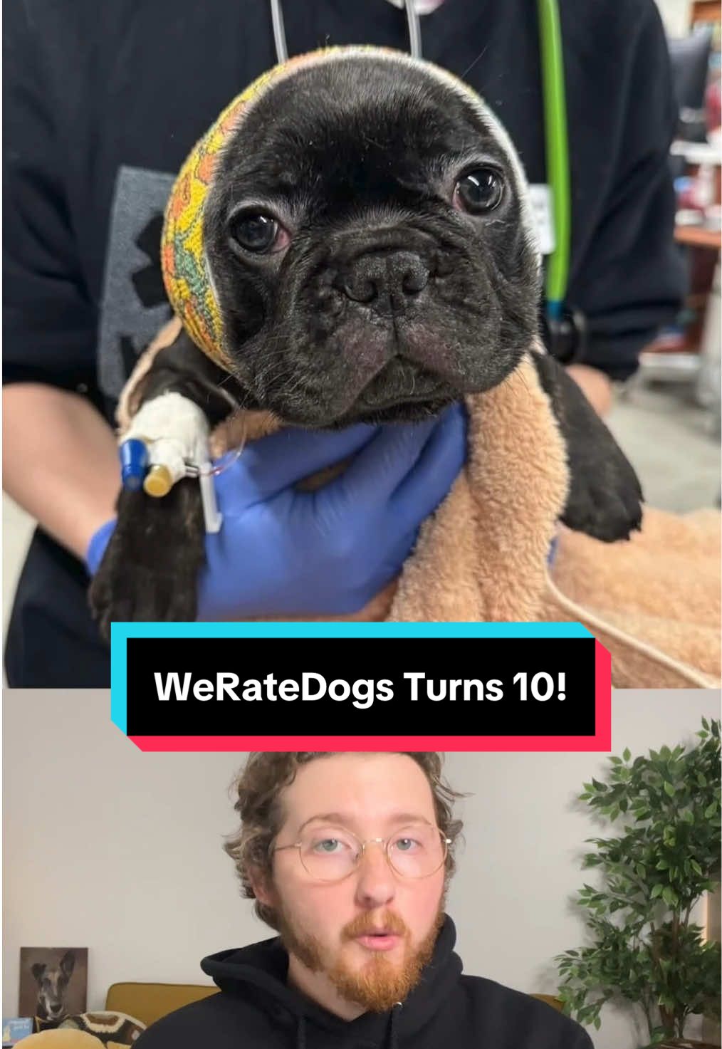 here's to many more good dogs 🥂