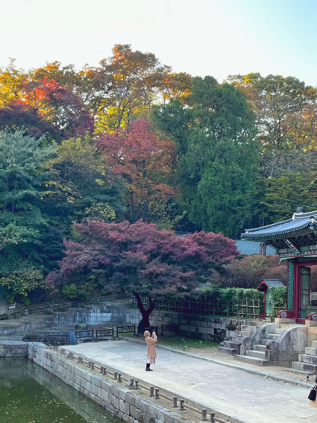 The path itself already feels magical. #POVKorea #Changdeokgung #SeoulAutumn #TravelKorea