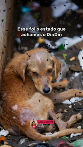 EU CHOREI ESCONDIDO😪 SEGUE PARA CONSEGUIR ACOMPANHAR A PARTE 2! #animalrescue #fyppppppppppppppppppppppp #trend #fyp #tiktokshop 