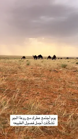 #الحدود_الشماليه 