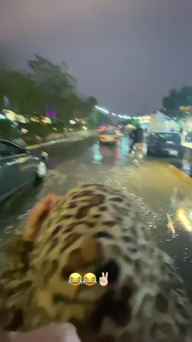 #CapCut #Biscoitocut #Funk #شعب_الصيني_ماله_حل😂😂 