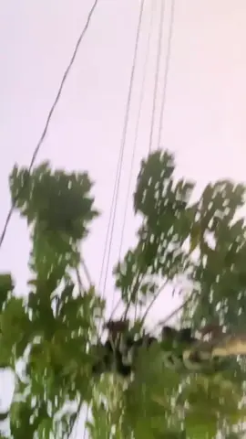 দুনিয়াটা মা-বাবার না #viral #tiktok #youtube @Sami.on.fire03 