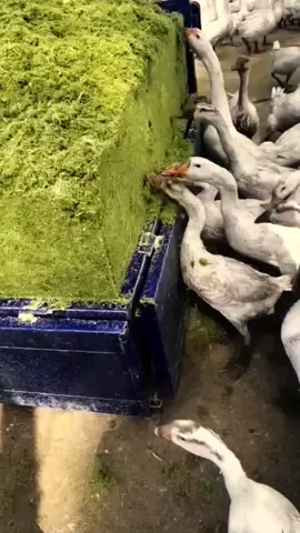 khi một chàng trai lâu ngày không liên lạc bỗng nhắn tin lại #sachhay #kynanggiaotiep #noichuyenlabannangimlanglatritue 