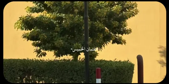 #CapCut #اكسبلور #fyp #explore 