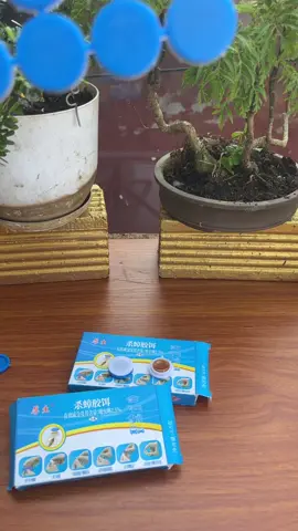 Viên diệt gián sinh học #housheng 