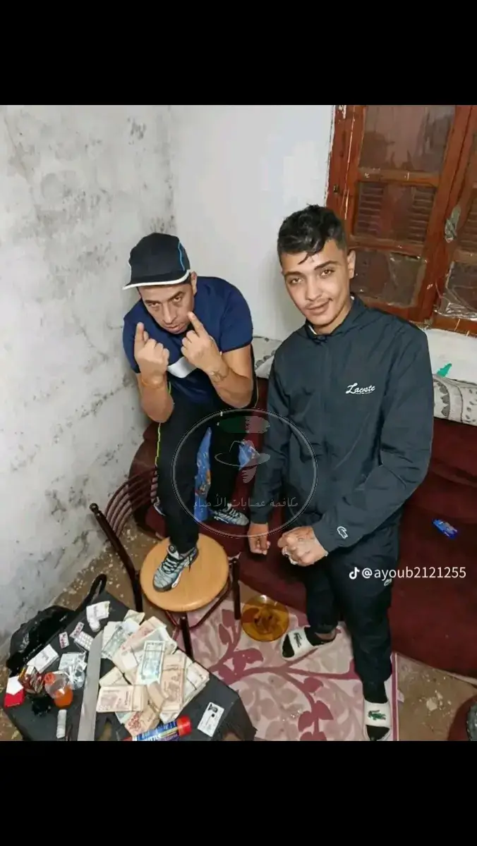 #creatorsearchinsights 