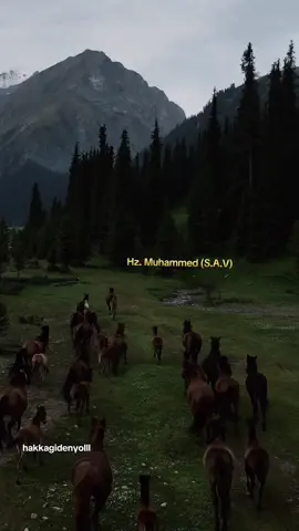 #hzmuhammedsav #anlamlısözler #keşfetbeniöneçıkar #anlamlıgüzelsözler⚡️⚡️🍁🍁 #fypシ゚ 