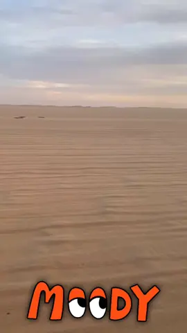 😇😇#وادي_الدواسر #سكويا 