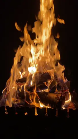 #777 #рекомендации 