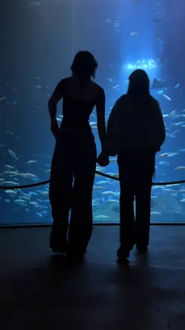 aquarium date with my lovergirl @ju #aquarium #date #wlwcouple #fyp 