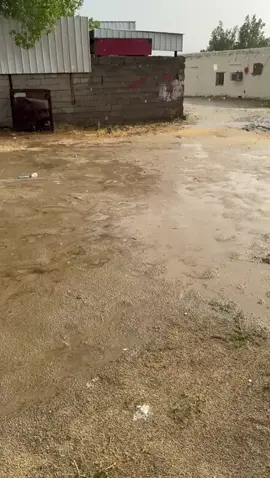 ديرتي اليوم يوم السبت #اللهم_صلي_على_نبينا_محمد 