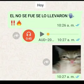 EL NO SE FUE SE LO LLEVARON 🗣🗣‼️‼️🔥‼️🔥#paratiiiiiiiiiiiiiiiiiiiiiiiiiiiiiii #gru #elnosefueselollevaron #viralvideo #parati 