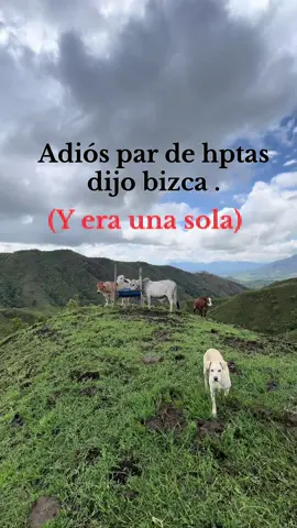 #ganaderia #caballos #seguidores 