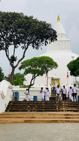 දෙව්ලොව සිට දෙවියන් පවා වඩින උතුම් කිරිවෙහෙර සෑ රදුන්...🙏 ලක්ෂ වාරයක් නමස්කාර වේවා..! #katharagamakiriwehera #kiriwehera #viralvideo #srilankatiktok 