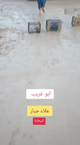 تخسفات شوارع ابو غريب منطقة البيطرة بسبب الامطار جماعة ال50 الف  وجماعة سارة اياد علاوي والشيباني والاعرجي الله بالخير شخباركم هسه #امطار_اليوم #ابوغريب_بغداد 