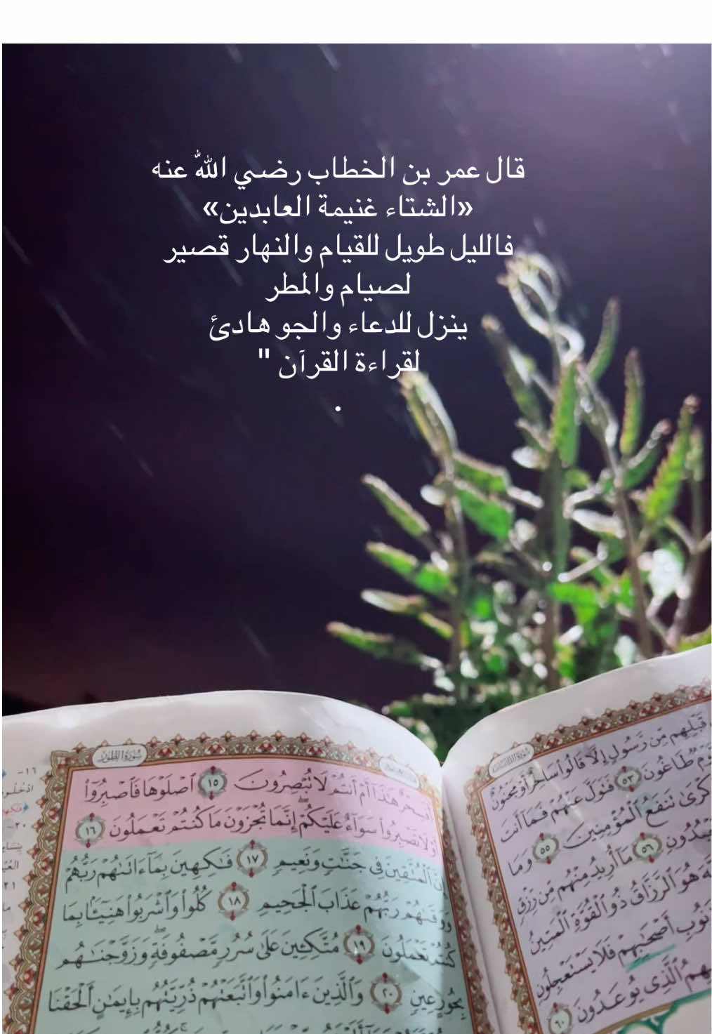 #قرآن_كريم_راحة_نفسية🌷🌻 #اكتب_شيء_تؤجر_عليه🌿🕊 #explore #لايك_متابعه_اكسبلور 