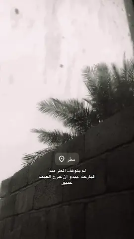 #fyp #foryou #موسيقى 