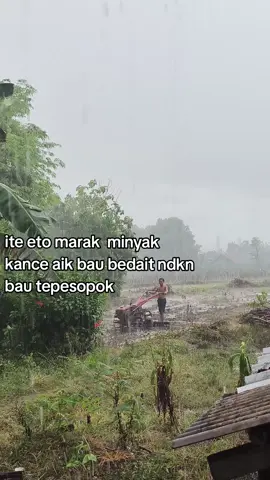 #tiktoklombok #sasaklombok 