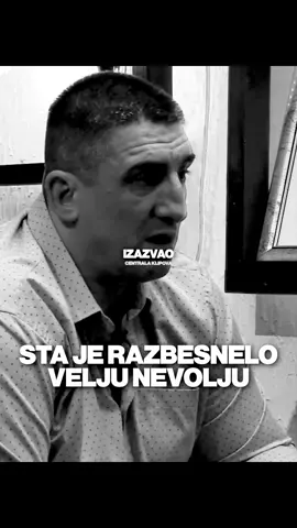 Kristijan Golubovic - Ovo Je Razbesnelo Belivuka❗️#veljanevolja #mare 