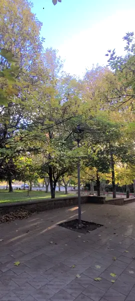 مدينة افران سويسرا المغرب  #ifranecity #شعب_الصيني_ماله_حل😂 #المراتي🇦🇪🇦🇪 #اسبانيا🇪🇸_ايطاليا🇮🇹_البرتغال🇵🇹_فرنسا🇫🇷 #ازرو_افران_مريرت_خنيفرة_أجلموس_الحاج 