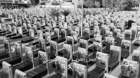 بس أمرت يبن الصدر  #ابن_قائد🦅 #قائدي_المقتدى🤍🦅 #محمد_الصدر #التيار_الصدري_عائلتي_الكبرى #وزير_القائد 