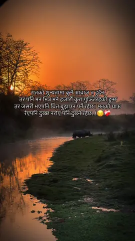 #sabdasansar0 #creatorsearchinsights #fyp #creator #foryoupage 