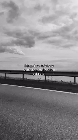 🐦‍🔥#fypシ゚ #kesfet #keje #dünya 