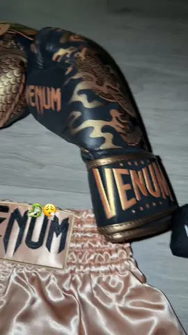 Mes nouvelles gants 😻🐉😮‍💨  ##boxe##boxeo##venum##anglaise