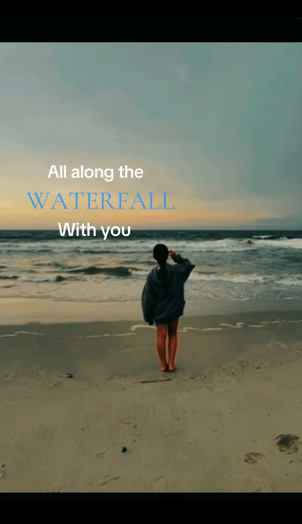 #fyp #blowup #viral #likes #dog  