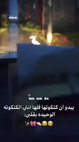 #اغاني #طرب #موسيقى 