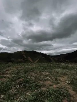 “爱情就像火焰，如果不懂珍惜，它很快就会熄灭。“Tình yêu giống như ngọn lửa, nếu không biết trân trọng, nó sẽ sớm lụi tàn.”#xuhuongtiktok #buon249 #viral 