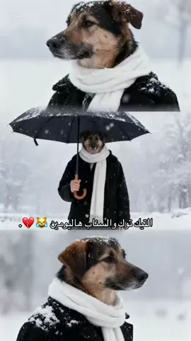 ترند ثلج ⛄️ اليومين ذي 😹💔. #اكسبلورexplore #تفاعلكم_حتى_أستمر #تصميمي_رايكم #ترند #ثلج . 
