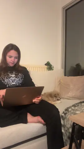 Trop contente 🩵🩷 @BANAYA & @carlacrsc . Je me suis commandé le petit cadeau de Noël de ma Queen. 🐶