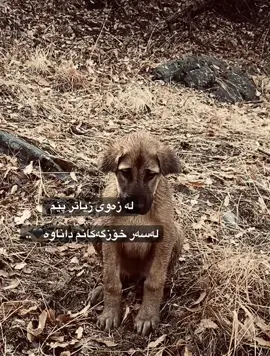 #ئەکتیڤبن🥀🖤ـہہـ٨ــہ 