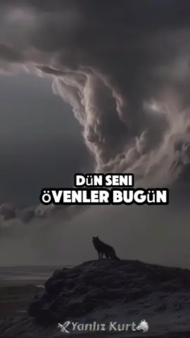 🇹🇷🦅🐺🇹🇷