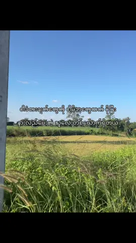 မဆုံးရှုံးချင်တော့ဘူး ဘယ်သူကိုမှ😭🌷