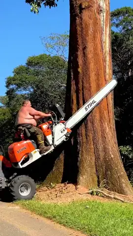 https://youtube.com/shorts/5y56ETbI4zk?si=_f5hArB_8NQIYD-6#woodworking #shortsvideos #treecutting #peppapig 