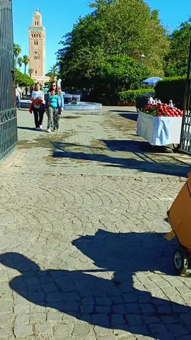 #تارودانت💟😊____تمازيرت__اينو💖🥀💖🥀💖 #تفنوت_منطقة_سياحية #توبقال_بوحيرة_افني #اكادير #مراكش 