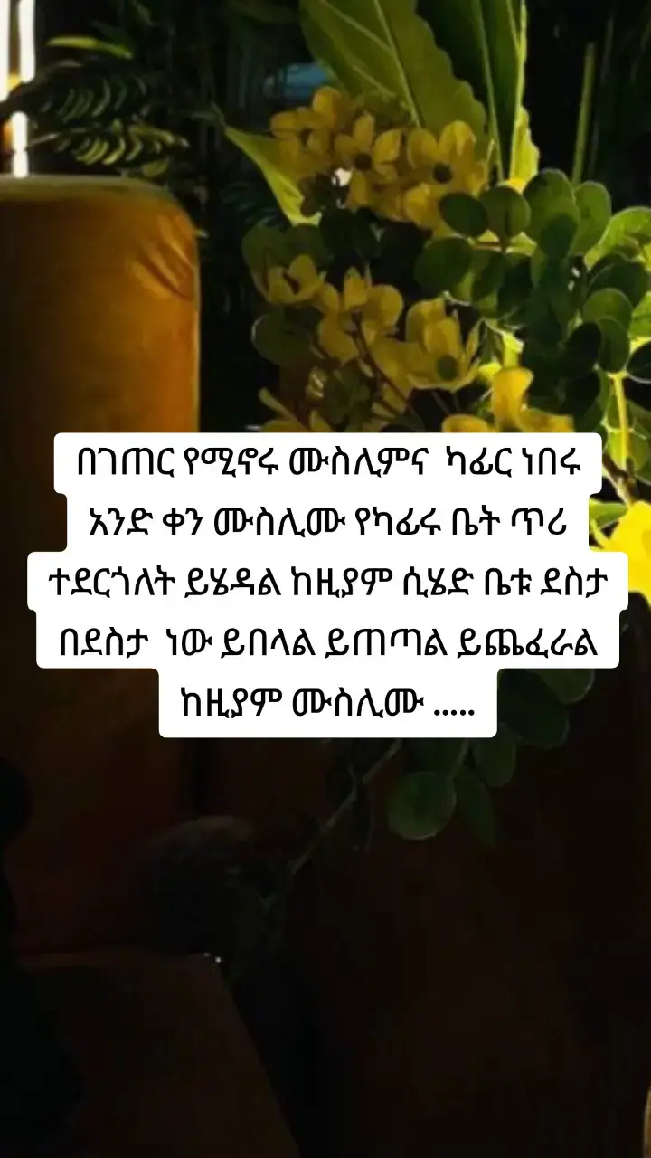 አነል ሙስሊም አላህ አላህ 😌