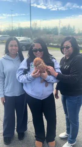 Congratulations @️  #fyb #NYCPuppies #ToyPoodlePuppy #SmallDogBigHeart #BrownPoodle @exotic_poosofficalbackup 