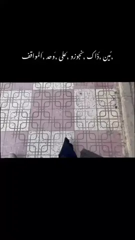 #الشعب_الصيني_ماله_حل😂😂 #الجزائر_algeria #مسيلة #fypシ゚ #