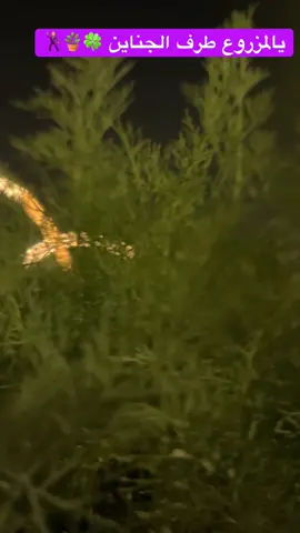 #السودان_مشاهير_تيك_توك🇦🇪🇦🇪 #الشعب_الصيني_ماله_حل😂😂🙋🏻‍♂️ #ترند_تيك_توكترتد_تيك_توكت @ترندات سودانيه🇸🇩💜 @ترندات اليومين دول 🤣👍🏻👑 @مزروعاتي💚🪴 @زراعه وطبيعه 🌿 