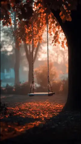 المناطق الحيوية الغابات المتساقطة الأوراق  #علوم_سادس #التعليم  مقارنة الأنظمة البيئية