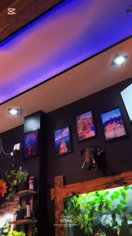 🇱🇰🇱🇰🇱🇰🇱🇰🇱🇰🇱🇰🇱🇰🇱🇰🇱🇰🇱🇰🇱🇰🇱🇰🇱🇰🫶ටැටූ වලට ආස අයට මෙන්න ගෙනාවා🫶#_ලයික්_එකක්_දලා_ෆ්ලො_කරල_යමු🙄❤️❤️ #black_lion_tattoo_studio_chilaw #chamodtattoos #හලාවත_බෝඩරෙ  📞0770407839 #viraltiktok