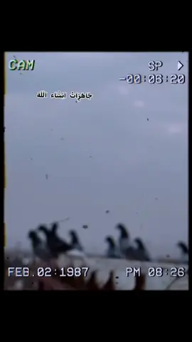 لَآيَکْ تٌعٌلَيَقُ 