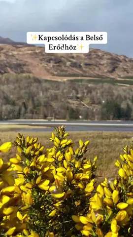 Ez a meditáció segít lecsendesíteni az elmédet, és összehangolódni azzal a valósággal, amelyet tudatosan szeretnél megteremteni. #meditation #spirituality #univerzum #meditáció #positivevibes #energia #neked #nekedbelegyen #magyartiktok #fyp