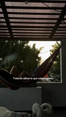 Cancerbero sabía cosas #fyp 