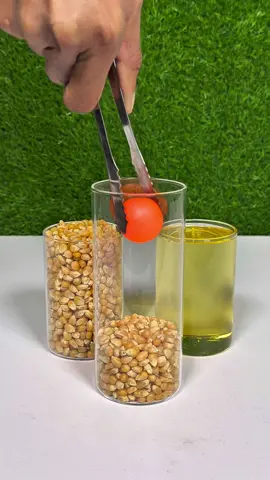 Making Popcorn With 1000°C RHCB #unitedkingdom #popcorn #rhcb #popcorn 