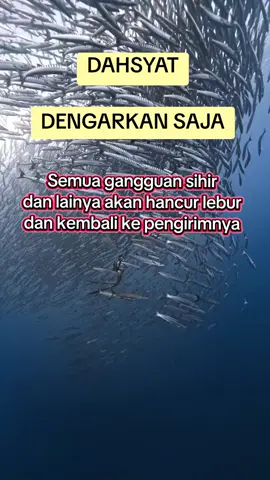 Dengarkan saja bacaan ayat ini dan lihat hasilnya.. #doa #doaruqyah #bismillah #aamiin 